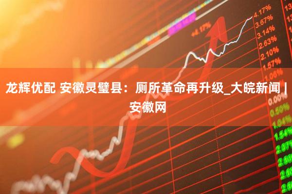 龙辉优配 安徽灵璧县：厕所革命再升级_大皖新闻 | 安徽网