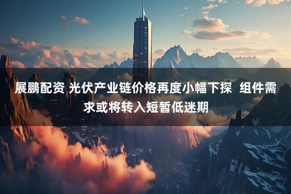展鵬配资 光伏产业链价格再度小幅下探  组件需求或将转入短暂低迷期