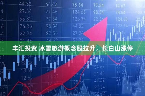 丰汇投资 冰雪旅游概念股拉升，长白山涨停