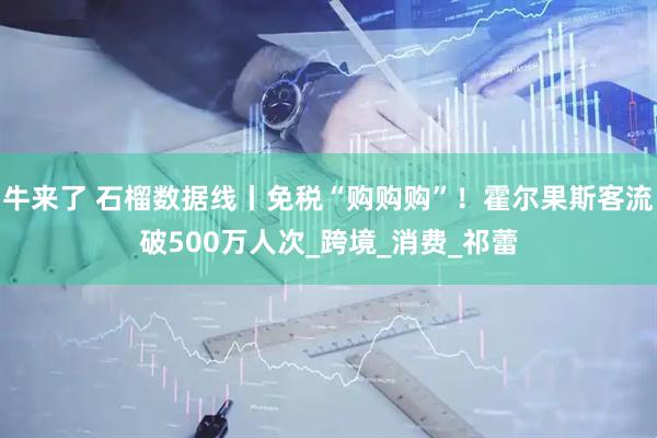 牛来了 石榴数据线丨免税“购购购”！霍尔果斯客流破500万人次_跨境_消费_祁蕾