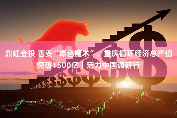 鼎红金投 善变“绿色魔术”，重庆循环经济总产值突破1500亿｜活力中国调研行