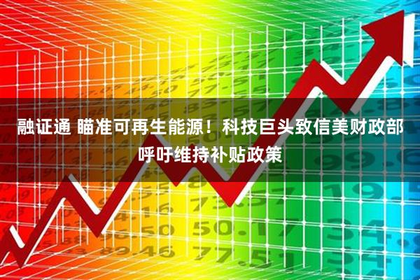 融证通 瞄准可再生能源！科技巨头致信美财政部呼吁维持补贴政策
