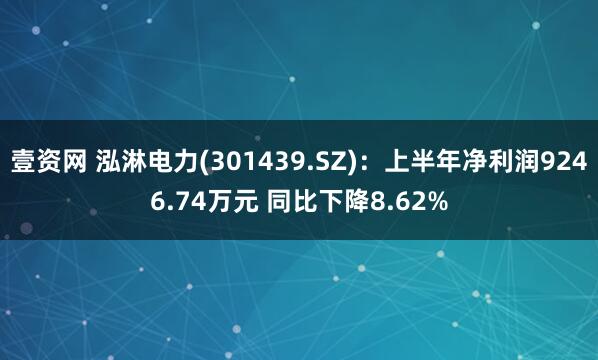壹资网 泓淋电力(301439.SZ)：上半年净利润9246.74万元 同比下降8.62%