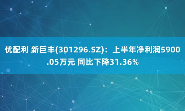优配利 新巨丰(301296.SZ)：上半年净利润5900.05万元 同比下降31.36%