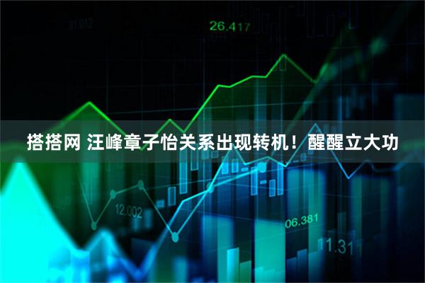 搭搭网 汪峰章子怡关系出现转机！醒醒立大功