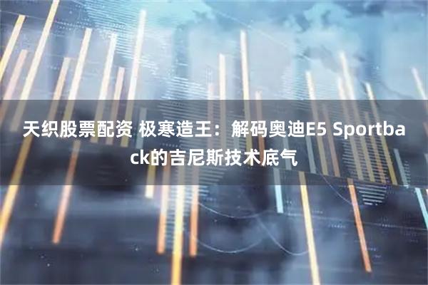 天织股票配资 极寒造王：解码奥迪E5 Sportback的吉尼斯技术底气